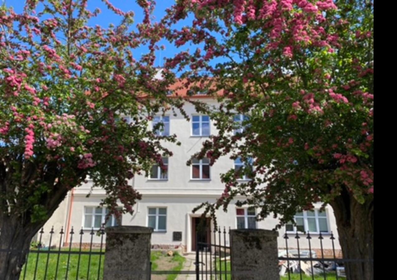Apartament 3 Pokojowy Z Parkingiem Appartement Zabkowice Slaskie Buitenkant foto